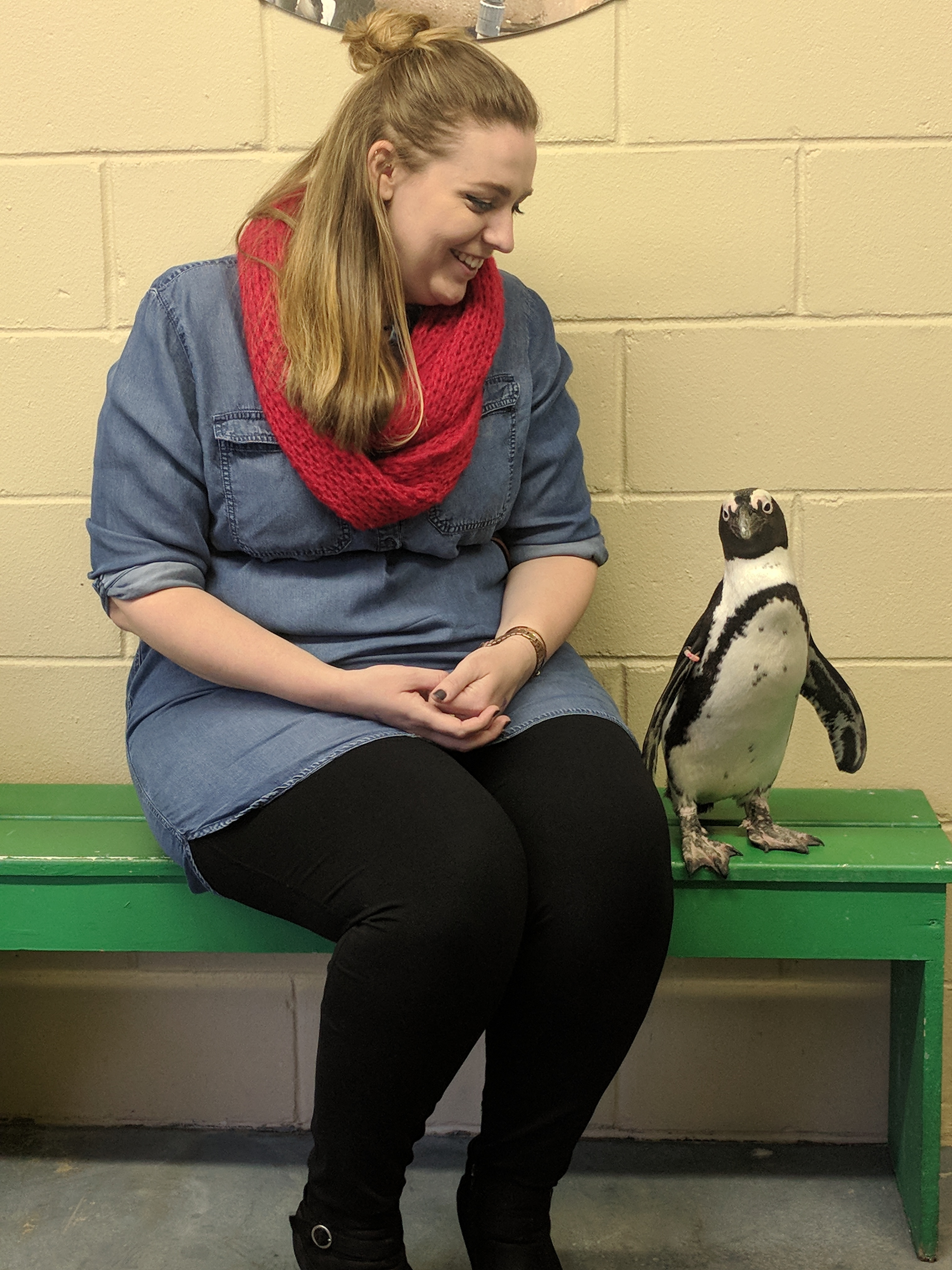 Kim Whitehead, Communications Manager