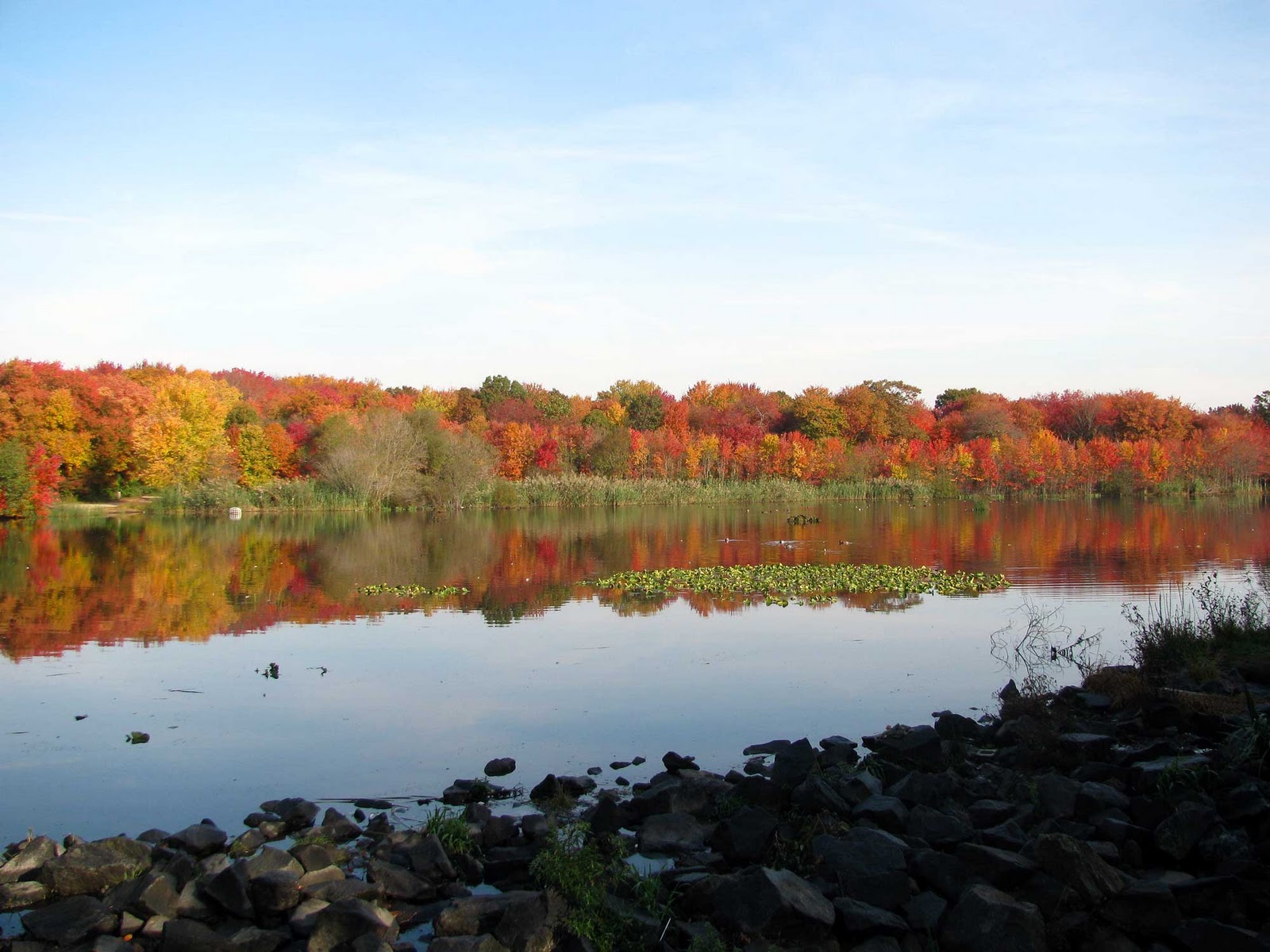 Massapequa Park Pond on Long Island
