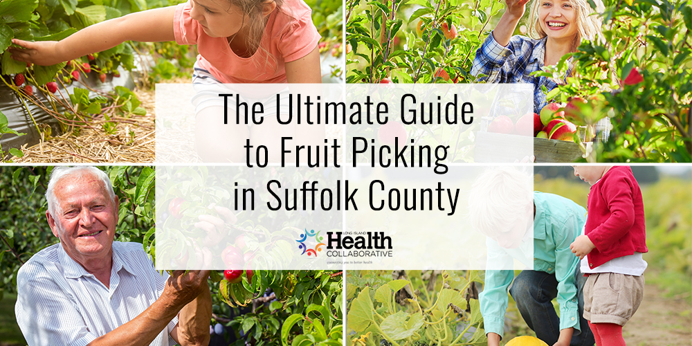 Senior Citizen, adults and children picking fruit in Su