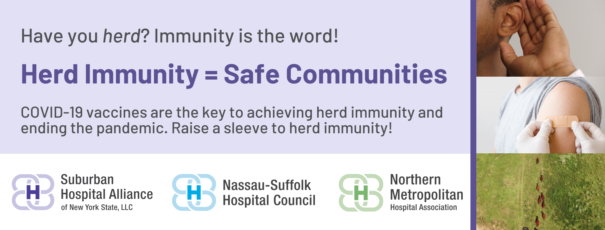 Have you herd? Immunity is the word!